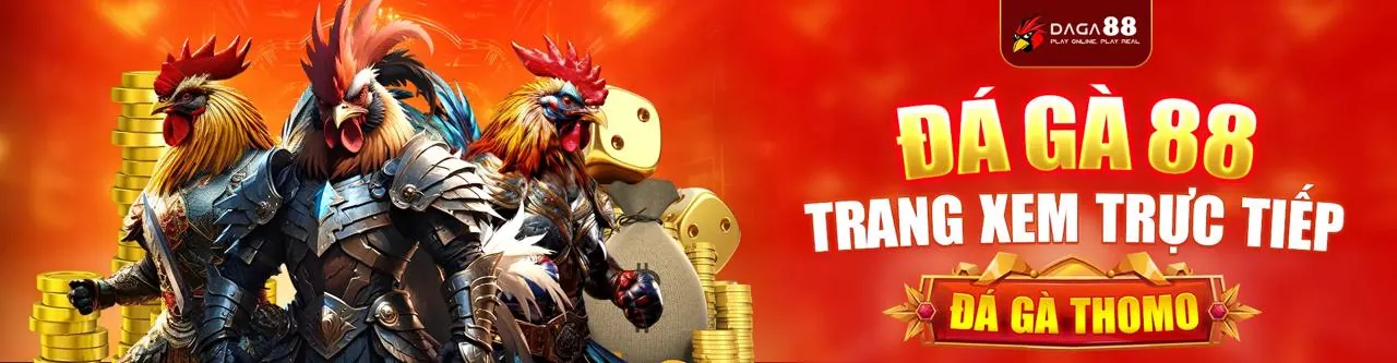 Đá Gà Trực Tuyến c168network